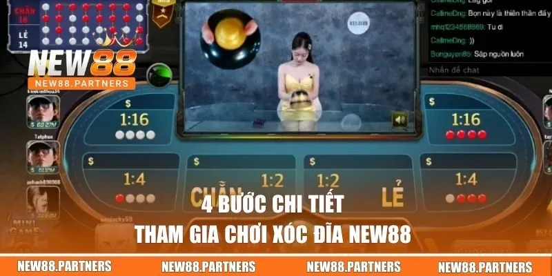 4 bước tham gia chơi Xóc Đĩa New88 chi tiết 