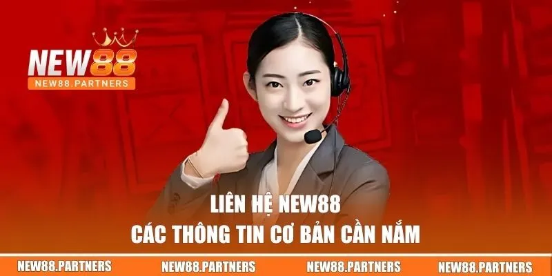 Các thông tin cơ bản khi liên hệ NEW88